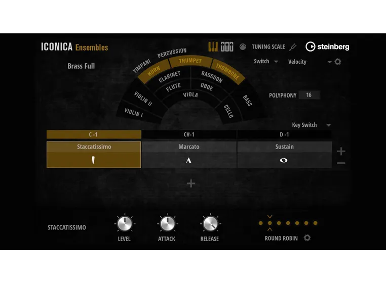 Steinberg Iconica Ensembles [Download] 